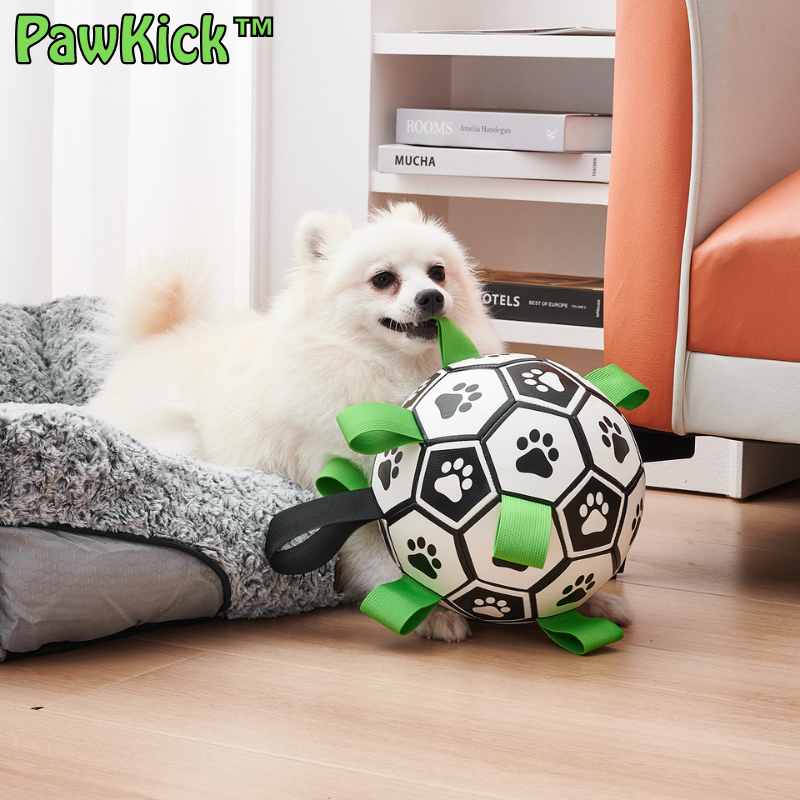 PawKick™ | Fußball für Hunde