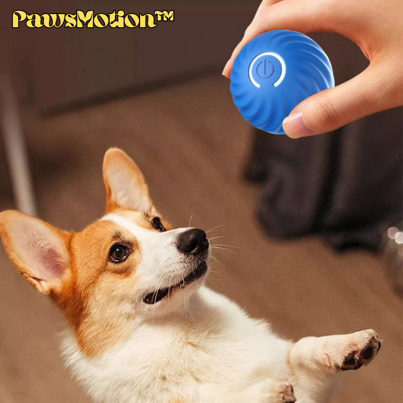 PawsMotion™ | Interaktiver Spielball für Haustiere