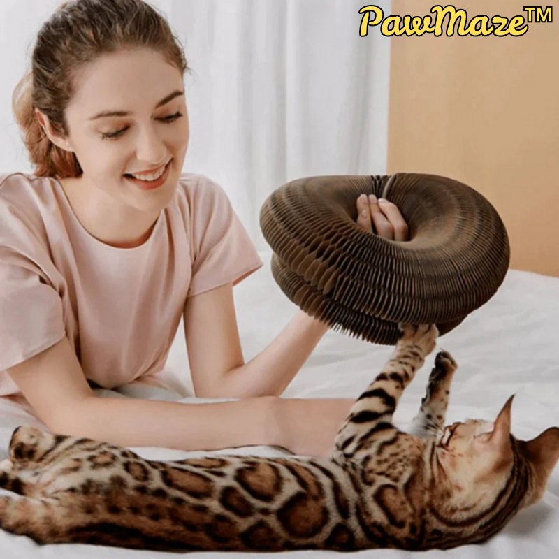 PawMaze™ | Interaktives Katzenspielzeug
