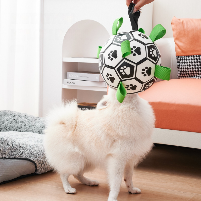 PawKick™ | Fußball für Hunde