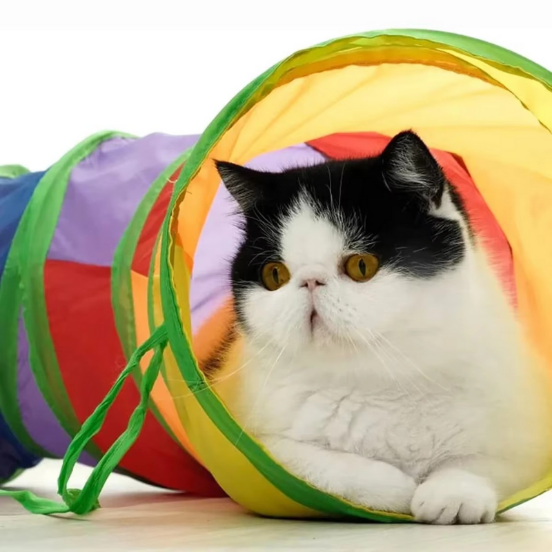 TunnelFun™ | Faltbarer Katzentunnel