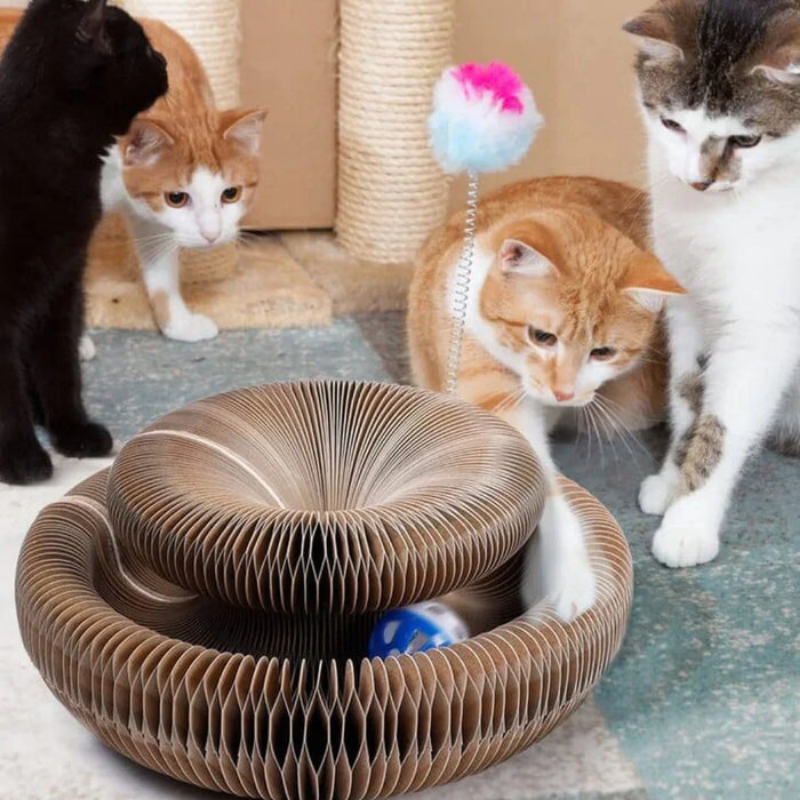PawMaze™ | Interaktives Katzenspielzeug
