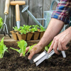 SeedStab™ - Garten-Pflanz- und Umpflanzwerkzeug