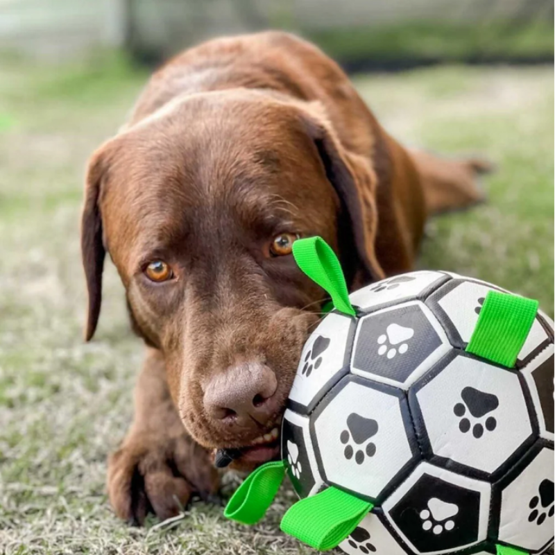 PawKick™ | Fußball für Hunde