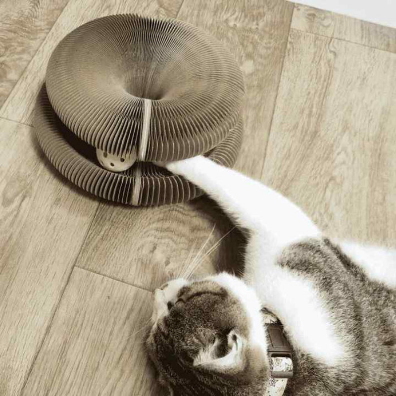 PawMaze™ | Interaktives Katzenspielzeug
