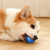 PawsMotion™ | Interaktiver Spielball für Haustiere