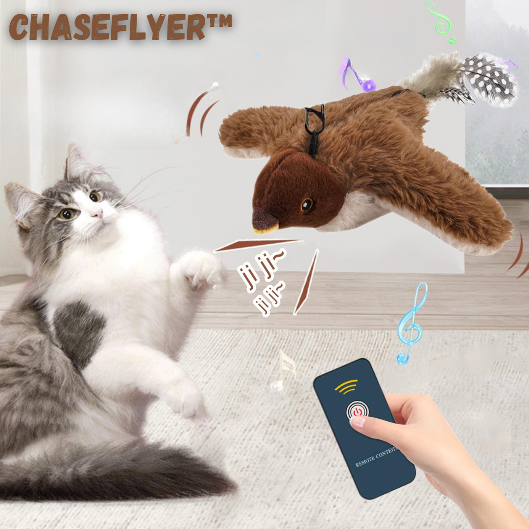 ChaseFlyer™ - Fappy Vogel Spielzeug