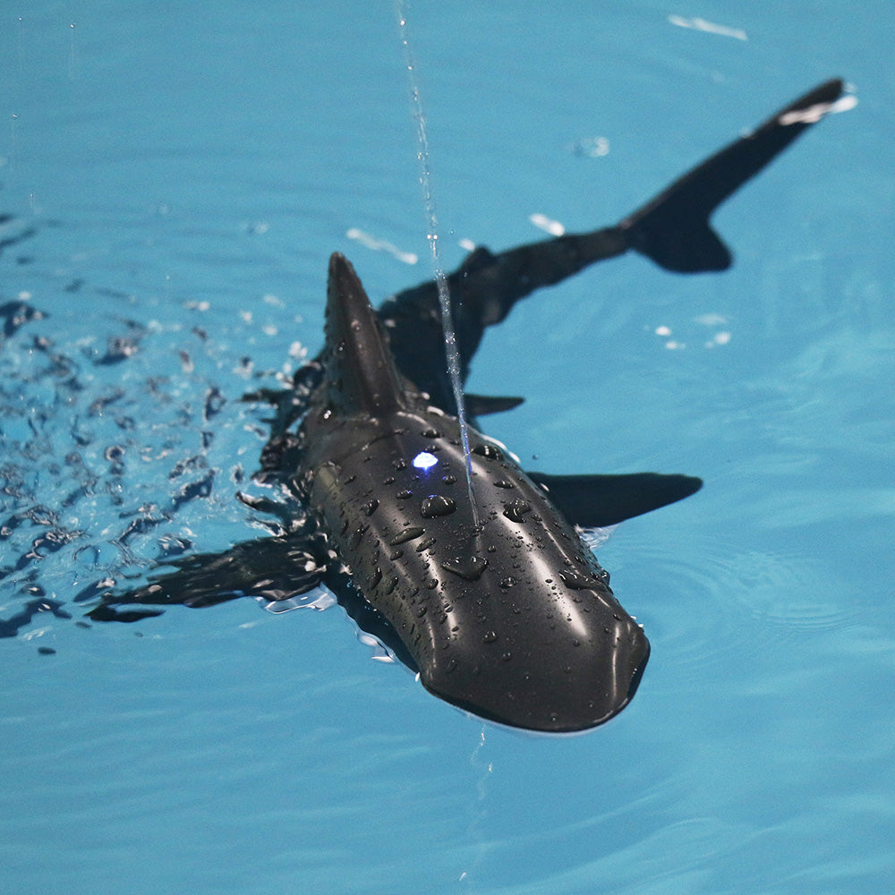 Sharky™ | Fernbedienung Hai