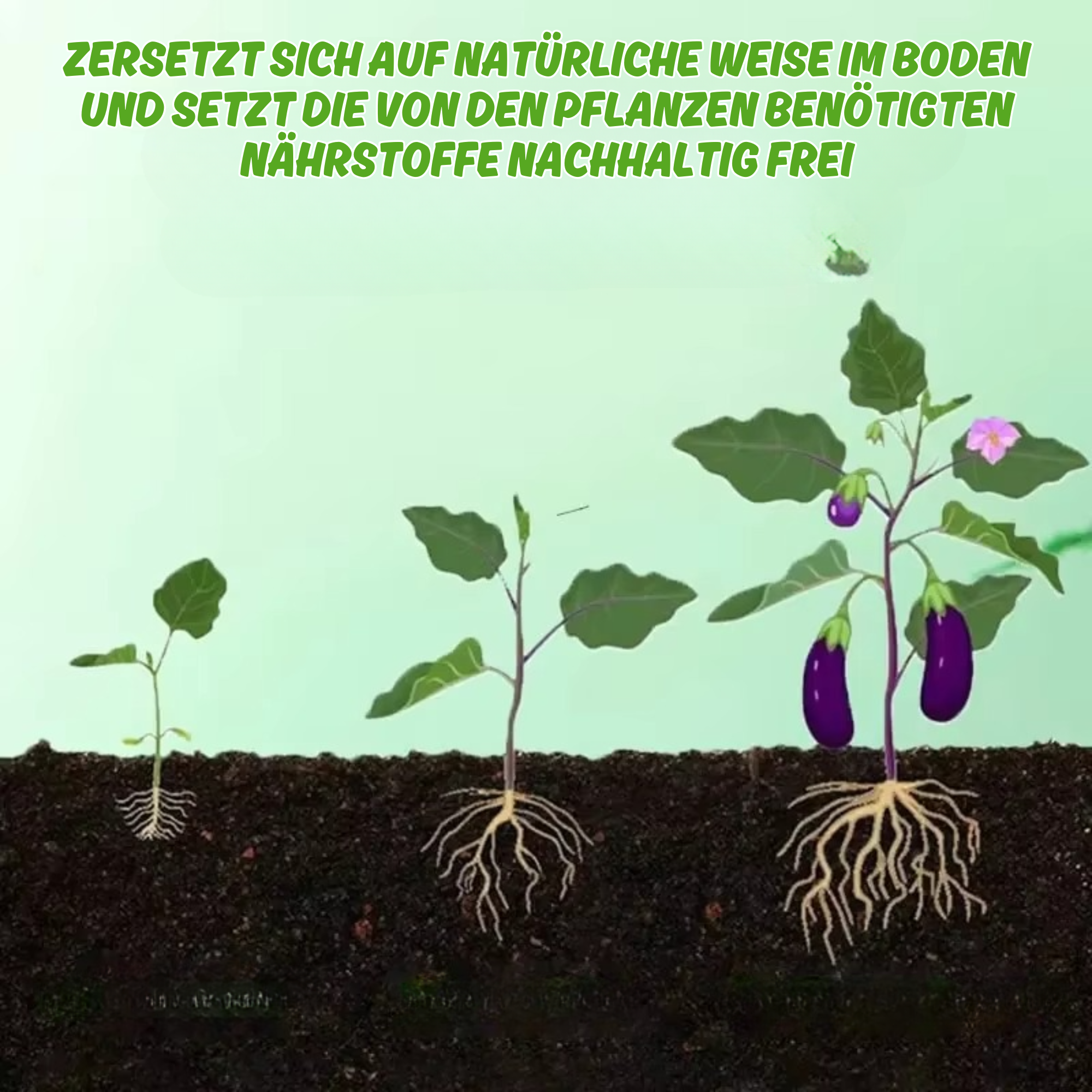 SoilVita™ - Bio-Düngertabletten