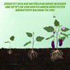 SoilVita™ - Bio-Düngertabletten